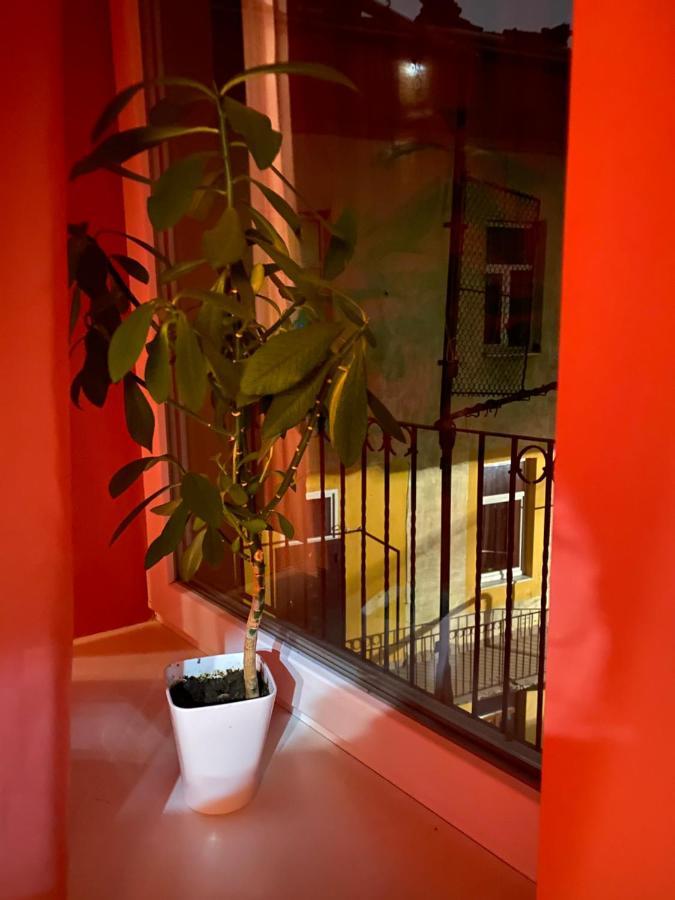 31 Котлярська Apartamento Lviv Exterior foto